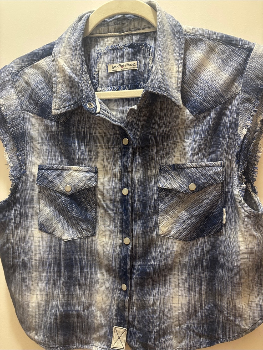 We The Free Blue Plaid Sleeveless Button-Down Shirt